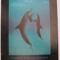 Affiche Danse des Dauphins