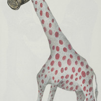 La girafe, dessin original publié dans Le Suçon de André Balthazar et Roland Breucker