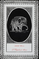 L'éléphant blanc / Achille Chavée