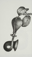 <em>Instrument de musique</em>, dessin original publié dans <em>La Poire</em> de André Balthazar et Roland Breucker