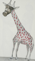 <em>La girafe</em>, dessin original publié dans<em> Le Suçon</em> de André Balthazar et Roland Breucker