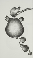 <em>Les cloches de Pâques</em>, dessin original publié dans<em> La Poire</em> de André Balthazar et Roland Breucker